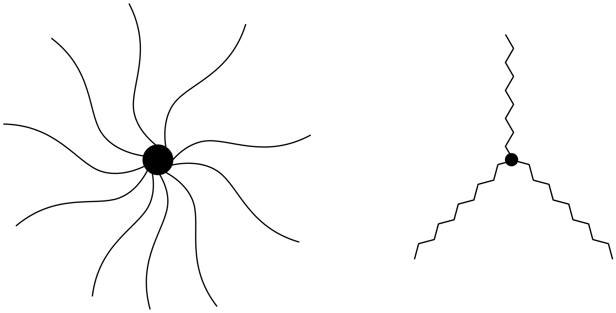 کوپلیمر ستاره ای star